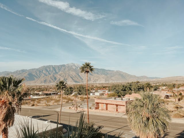 A top view of a neighborhood in the desert with palm trees.