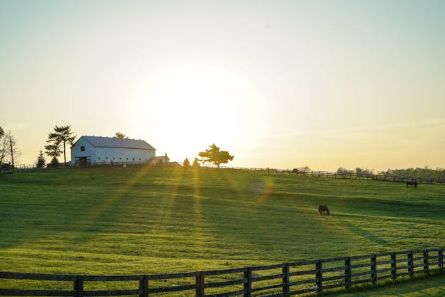 A house over a green field.